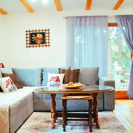 Vikend Kuca Dina 度假居 弗拉西克