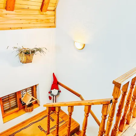 度假居 Vikend Kuca Dina 弗拉西克